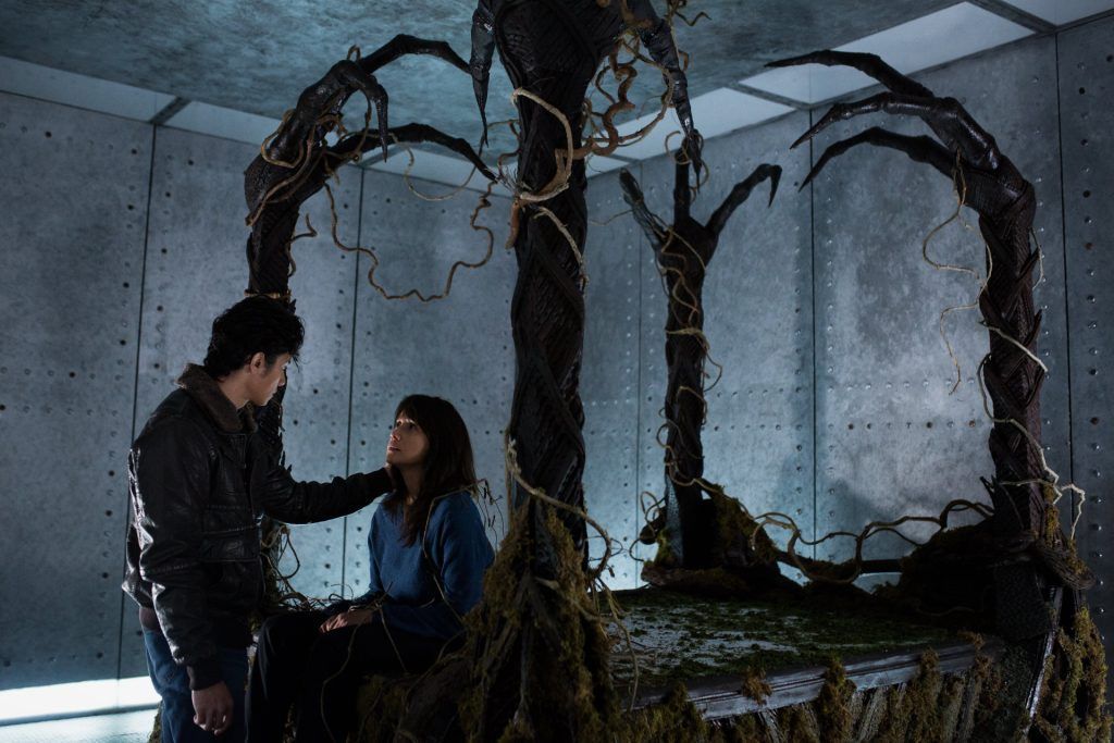 Motel Acacia Still 3